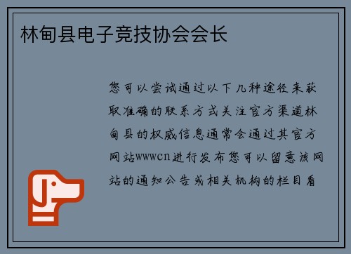 林甸县电子竞技协会会长